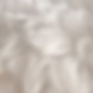 Meet your Posher, Destiny